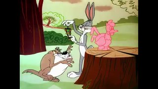 Looney Tuesdays Taz Wants!_Rabbits And_Ducks Looney_Tunes___WB