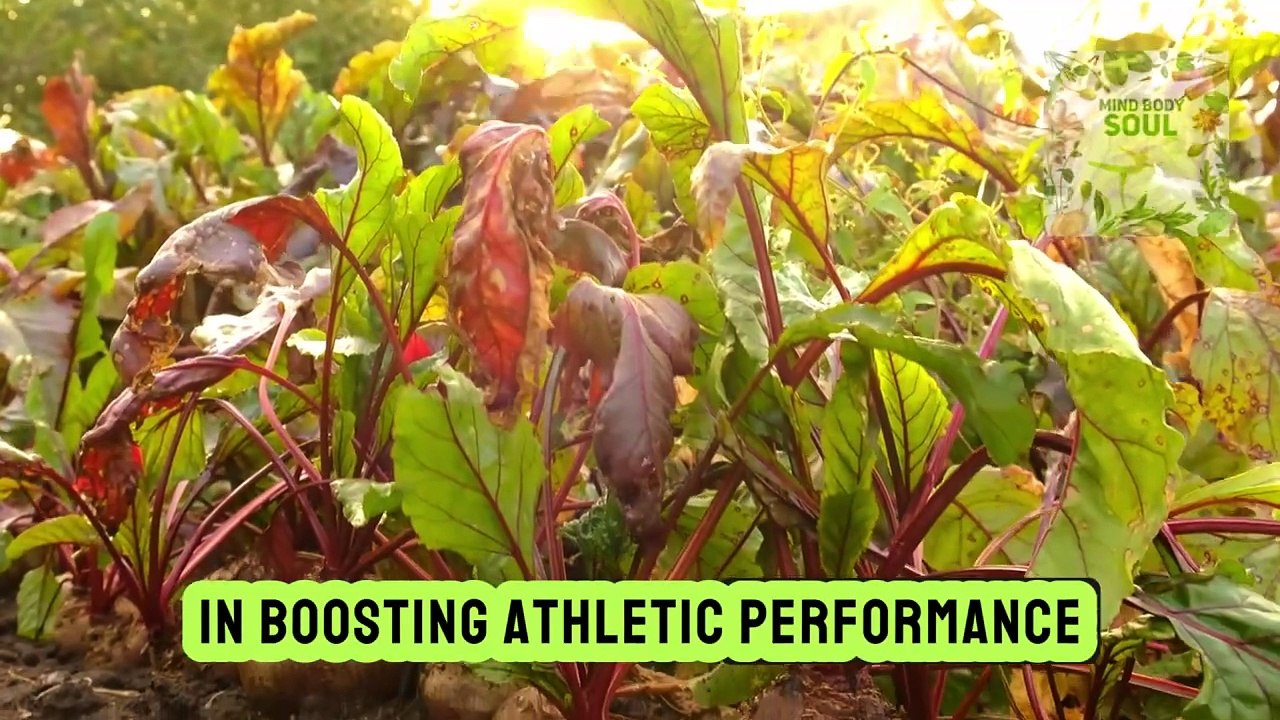 Surprising Health Benefits of Beets: Discover Their Role in Cancer Prevention!