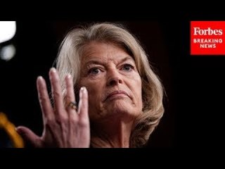 ‘Practically Non-Existent Right Now’: Lisa Murkowski Raises Concern About Timber Industry