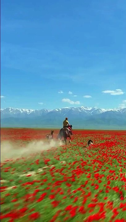 Vous aimez la nature, cette vidéo va vous couper le souffle