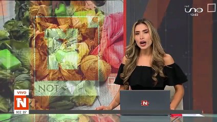 Encuentran droga camuflada en bolsas de repollo y papas