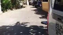 van