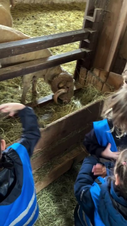 Le temps de quelques heures, M Pokora a joué les anonymes en accompagnant son fils à une sortie scolaire à la ferme. M Pokora avec son fils en sortie scolaire