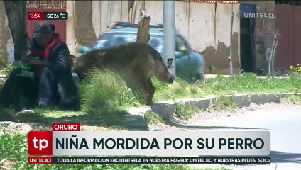 Una niña terminó con una seria lesión en el rostro tras ser atacada por un perro que habita en su casa  