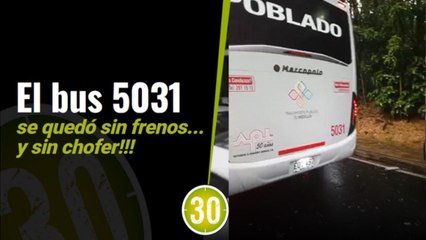 ¿Y dónde estaba el conductor? Chofer del bus accidentado se voló tras el choque