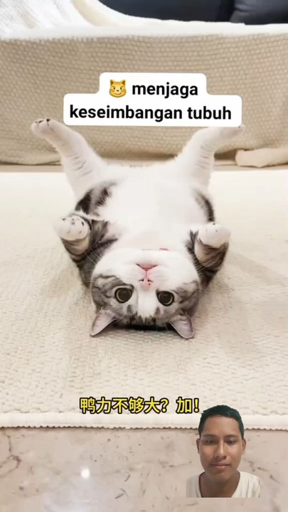 #vediolucu