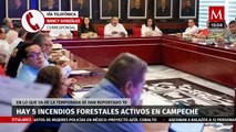 Hay cinco incendios forestales activos en Campeche, se han registrado 19 en 2024