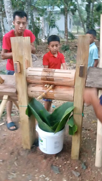 natural sugar extraction