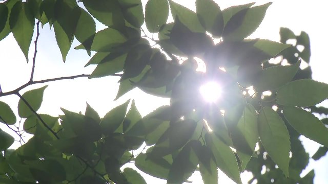 [날씨] 오늘 전국 맑고 낮 더위...일교차·자외선 주의 / YTN