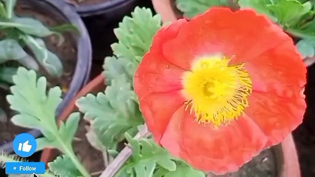 Manzil dua | Manzil dua by mishary | Episode 4 | Manzil dua with urdu translation | Manzil dua fast | Manzil dua without ads | Manzil dua by sudais | Recitation | Manzil dua tarjuma ke sath | Manzil dua qari basit | Surah manzil