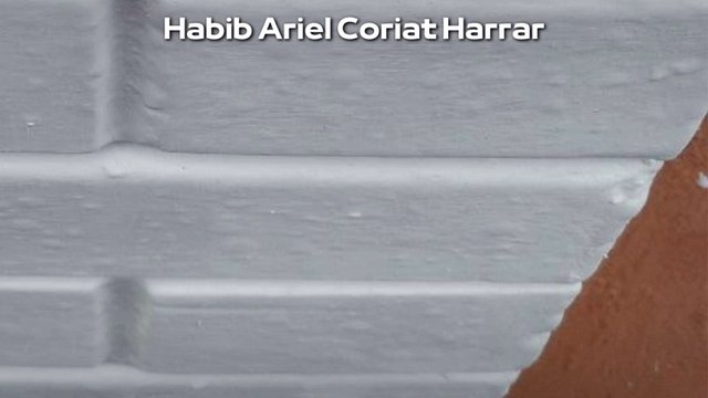 |HABIB ARIEL CORIAT HARRAR | LA IA LLEGA A LAS AULAS DE HONG KONG (PARTE 1) (@HABIBARIELC)