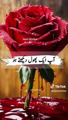 Best short video for your life changing