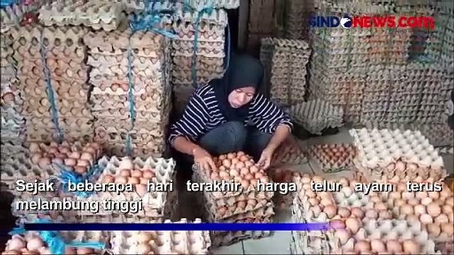 Harga Telur Ayam di Pasar Panimbang Pandeglang Banten Tembus Rp31.000 per Kg