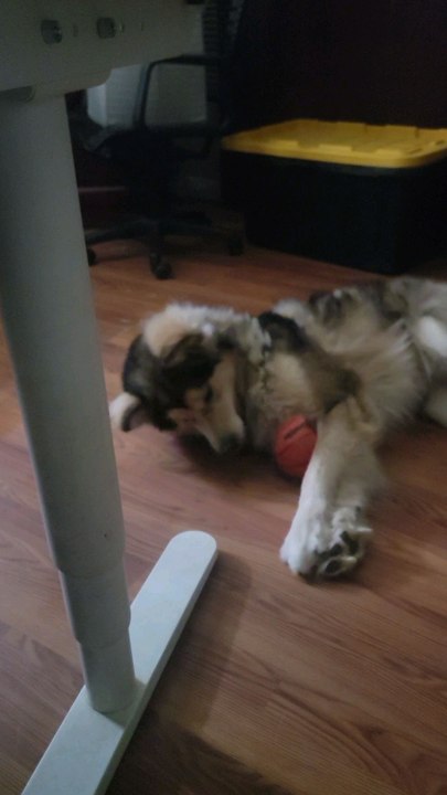 just having fun alone waiting on me to play too lol