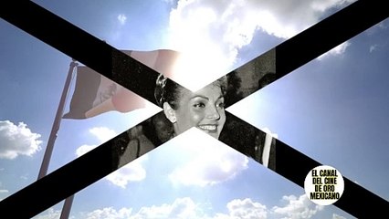 CARMEN SEVILLA Aseguran que SUS cenizas no han sido recogidas desde hace meses