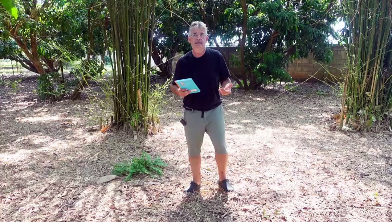 Auswandern, aber wie_ Teil 3 #thailand    #thailand2023  #ausgewandert  #auswanderung  #erfahrungen (1080p_60fps_H264-128kbit_AAC)