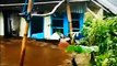 Only just!! Flash Floods Sweep Wonosobo Today! One House Unit Was Swept Away by the Flood