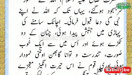 hazrat saleh story,hazrat saleh story in urdu,story of the she camel,hazrat saleh,hazrat saleh ka waqia