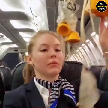 The Mystery of British Airways Flight 5390 _ Air Crash Investigation