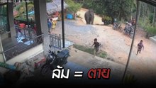 นาทีระทึก! ช้างเดินมาในหมู่บ้าน ก่อนที่จะวิ่งไล่ ทำให้ต้องหนีไปคนละทาง !