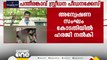 പന്തീരങ്കാവ് സ്ത്രീധന പീഡനക്കേസ്: യുവതിയുടെ രഹസ്യമൊഴി രേഖപ്പെടുത്താൻ നീക്കം, ഹരജി നല്‍കി