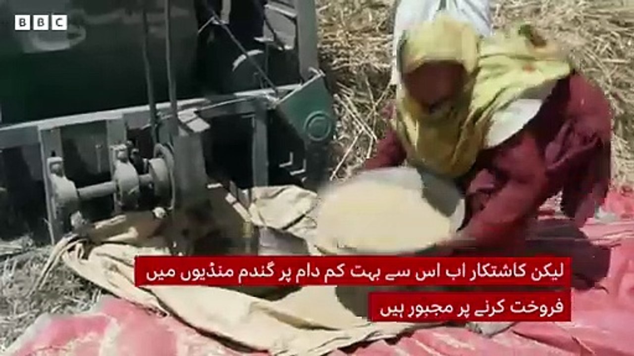 Farmers in Punjab to protest against government after their deadline passed- BBC UrduFarmers in Punjab to protest against government after their deadline passed- BBC Urdu 1