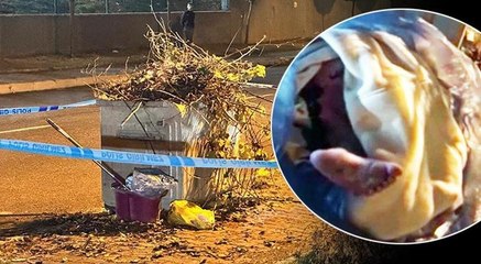 Tuvalette doğurduğu bebeğini çöpe attı: İnternetten doğum videoları izledim