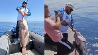 Evlilik yıl döneminde denize açılan amatör balıkçının oltasına 40 kiloluk balık takıldı