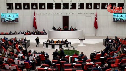 Meclis'te Gökçek krizi: ''Sen trol çocuğusun''
