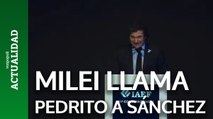 Milei, sobre Sánchez: 