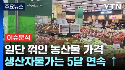[경제PICK5] 농산물 가격 꺾였지만...생산자물가 또 올라 / YTN