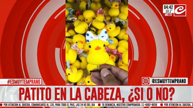 Opiná en Crónica: ¿patitos si o patitos no?