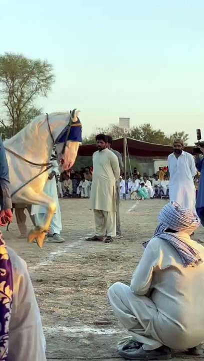 Horse dance