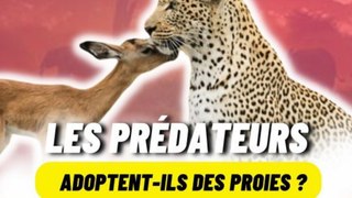 Les prédateurs, adoptent ils vraiment des proies ?