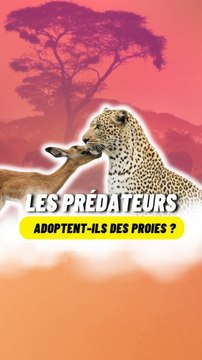 Les prédateurs, adoptent ils vraiment des proies ?