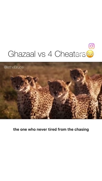 Just for fun