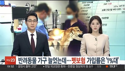 반려동물 가구 늘었는데…펫보험 가입률은 '1%대'