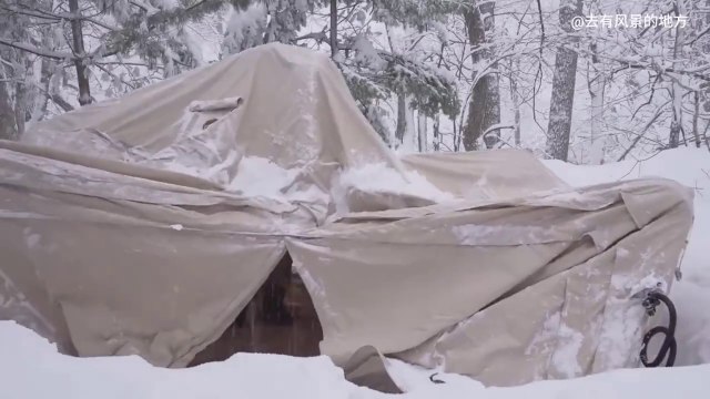 Embrace the Chill: Camping in Winter Wonderland & Embracing Nature's Beauty! ❄️️ #SnowyCampLife