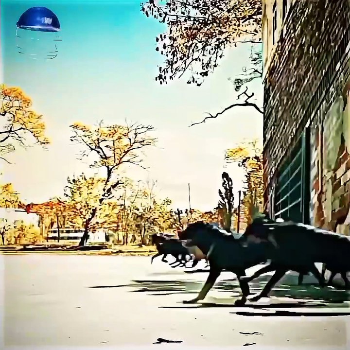 1000036908