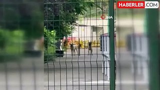 Okul müdürünün bahçede beslediği köpekler 11 yaşındaki öğrenciye saldırdı