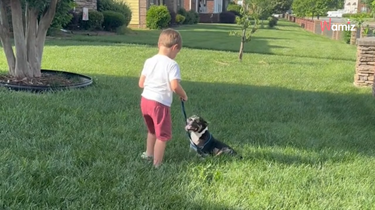 Un chiot qui n’a que 6 mois à vivre rencontre un enfant : la scène est bouleversante