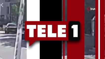 Arabasıyla yol kenarında uyuyan köpeği ezerek öldürdü!