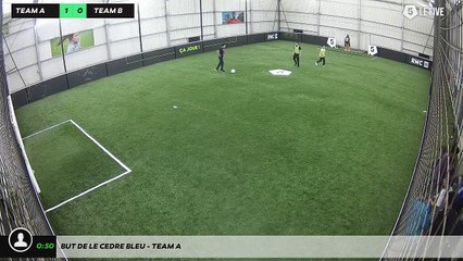 But de LE CEDRE BLEU - Team A