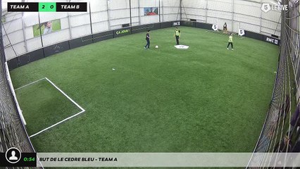 But de LE CEDRE BLEU - Team A