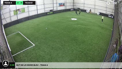 But de LE CEDRE BLEU - Team A