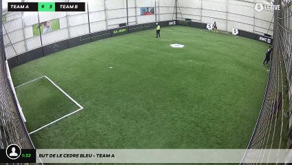 But de LE CEDRE BLEU - Team A