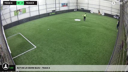 But de LE CEDRE BLEU - Team A