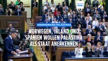 Norwegen, Irland und Spanien wollen Palästina als Staat anerkennen