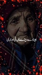 Mawan tere dudh ka haq hm sy ada kia ho ga|naat