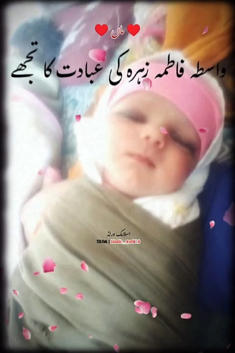 نعت |ماں تیری دودھ کا حق ہم سے ادا کیا ہو گئے